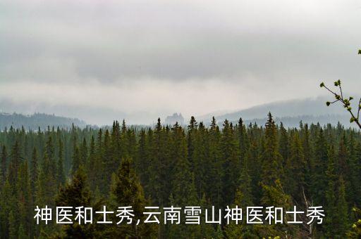 神医和士秀,云南雪山神医和士秀