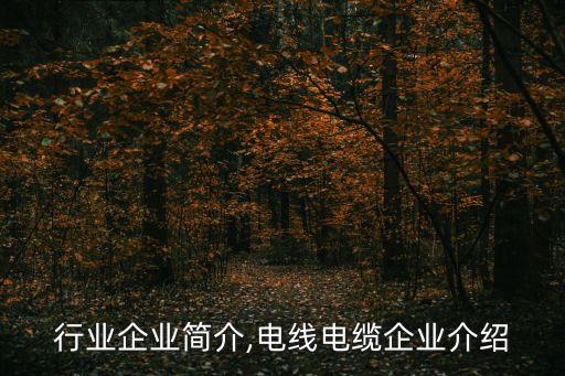 电缆行业企业简介,电线电缆企业介绍