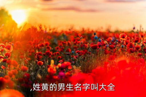 黄威,姓黄的男生名字叫大全