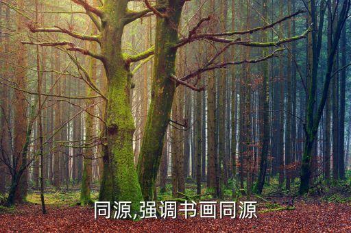 书画同源,强调书画同源