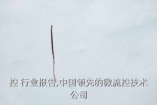 控 行业报告,中国领先的微流控技术公司