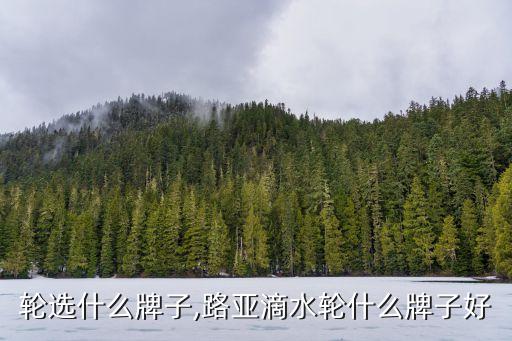轮选什么牌子,路亚滴水轮什么牌子好