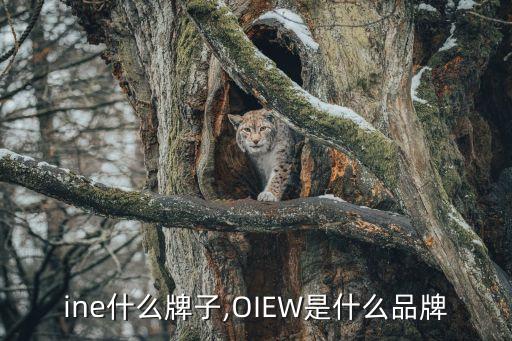 owine什么牌子,OIEW是什么品牌?