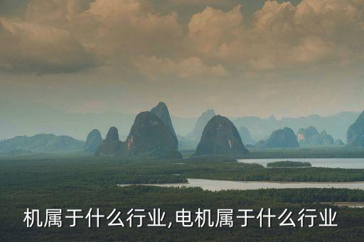 发电机属于什么行业,电机属于什么行业?