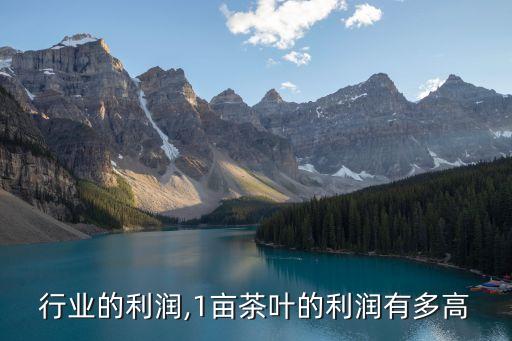 行业的利润,1亩茶叶的利润有多高