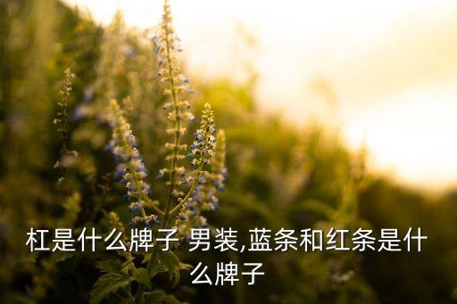 杠是什么牌子 男装,蓝条和红条是什么牌子