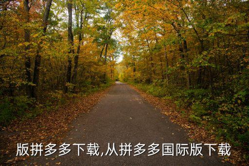 版拼多多下载,从拼多多国际版下载