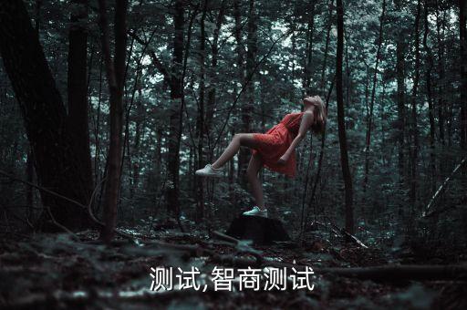 测试,智商测试