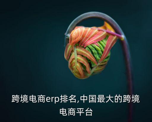 十大跨境电商erp排名,中国最大的跨境电商平台
