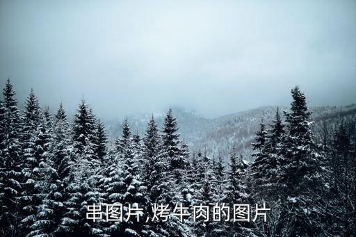 小肉串图片,烤牛肉的图片
