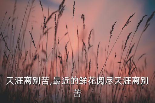 天涯离别苦,最近的鲜花阅尽天涯离别苦