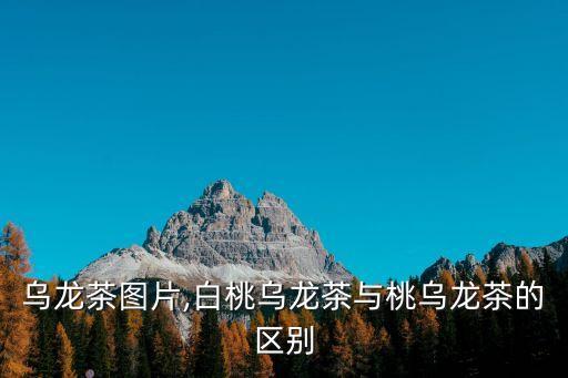 乌龙茶图片,白桃乌龙茶与桃乌龙茶的区别
