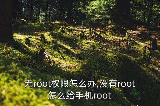 无root权限怎么办,没有root怎么给手机root
