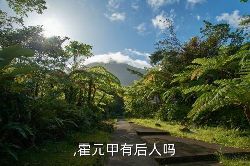 ,霍元甲有后人吗