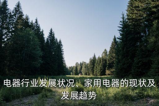 海信电器行业发展状况、家用电器的现状及发展趋势