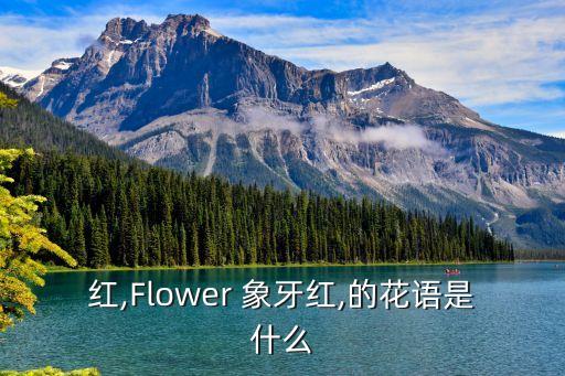 象牙红,Flower 象牙红,的花语是什么?