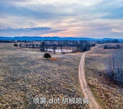 喷雾,dol 胡椒喷雾