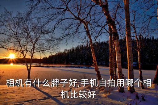 自拍相机有什么牌子好,手机自拍用哪个相机比较好?