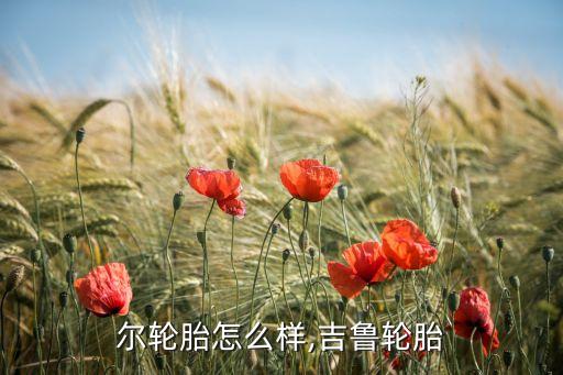 吉路尔轮胎怎么样,吉鲁轮胎