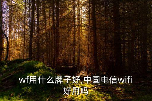 wf用什么牌子好,中国电信wifi好用吗