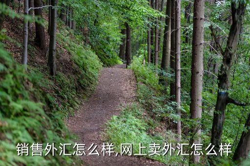 销售外汇怎么样,网上卖外汇怎么样