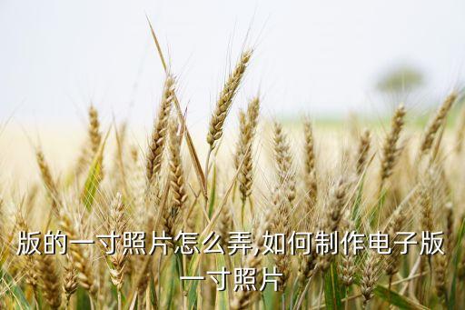 版的一寸照片怎么弄,如何制作电子版一寸照片