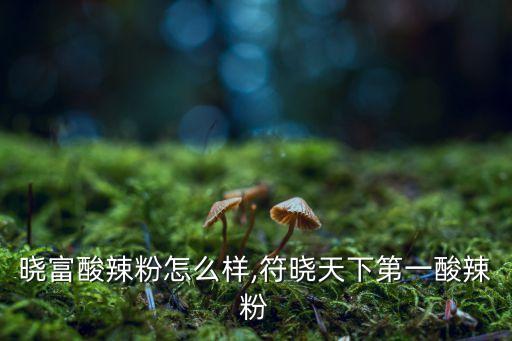 晓富酸辣粉怎么样,符晓天下第一酸辣粉