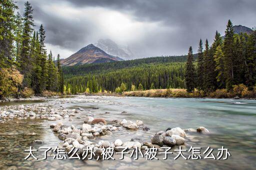 被罩大了怎么办,被子小被子大怎么办?