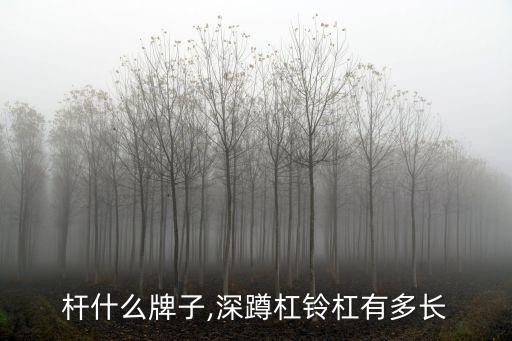 杠铃杆什么牌子,深蹲杠铃杠有多长?