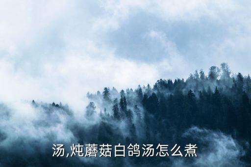 汤,炖蘑菇白鸽汤怎么煮