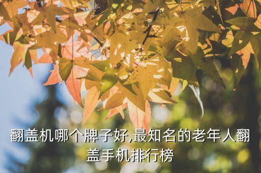 老年翻盖机哪个牌子好,最知名的老年人翻盖手机排行榜