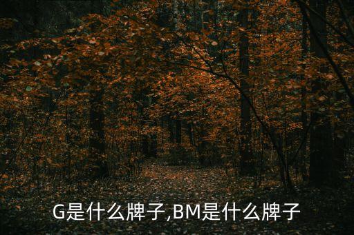 BMG是什么牌子,BM是什么牌子?