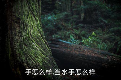 手怎么样,当水手怎么样