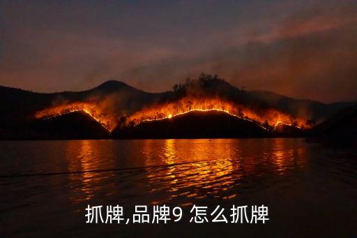 怎么抓牌,品牌9 怎么抓牌