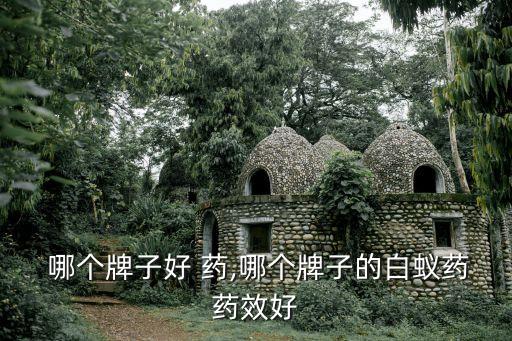 哪个牌子好 药,哪个牌子的白蚁药药效好