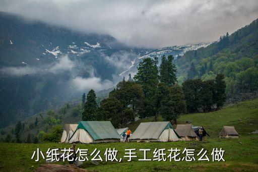 小纸花怎么做,手工纸花怎么做