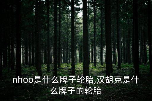 nhoo是什么牌子轮胎,汉胡克是什么牌子的轮胎
