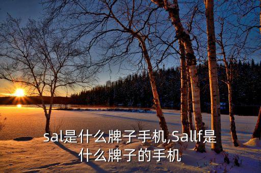 lusal是什么牌子手机,Sallf是什么牌子的手机?