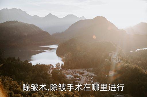 激光除皱术,除皱手术在哪里进行?