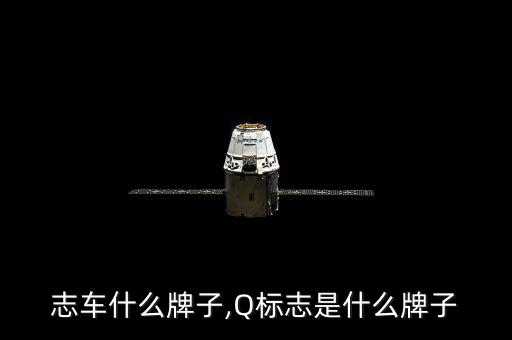 Q标志车什么牌子,Q标志是什么牌子?