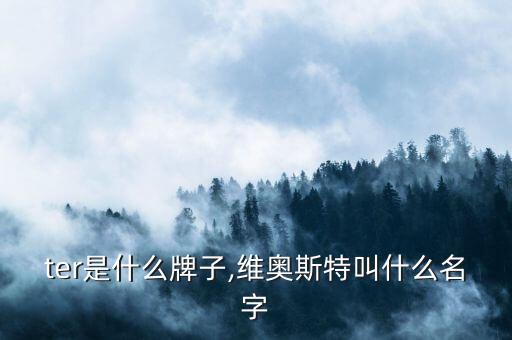 oster是什么牌子,维奥斯特叫什么名字?