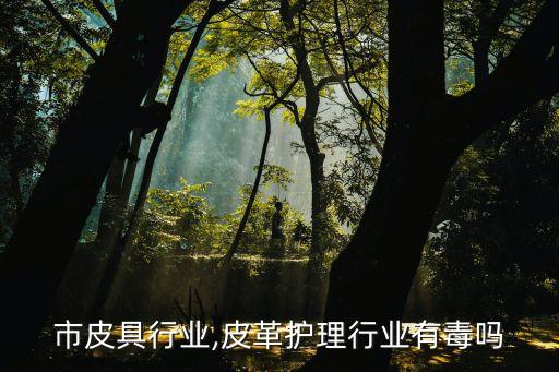 市皮具行业,皮革护理行业有毒吗