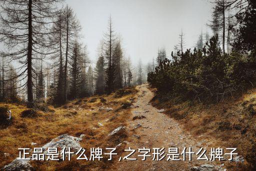 正品是什么牌子,之字形是什么牌子