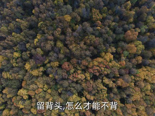 怎么留背头,怎么才能不背?