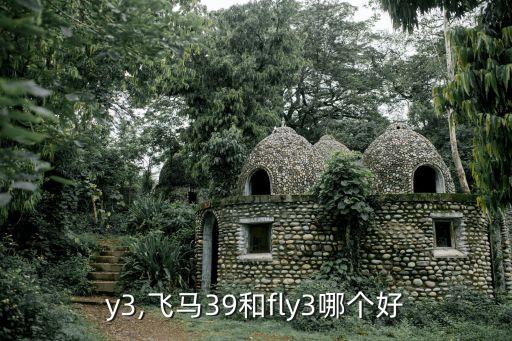 fly3,飞马39和fly3哪个好?
