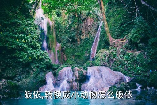 怎么皈依,转换成小动物怎么皈依