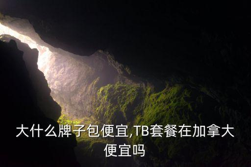 加拿大什么牌子包便宜,TB套餐在加拿大便宜吗?