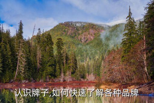 认识牌子,如何快速了解各种品牌