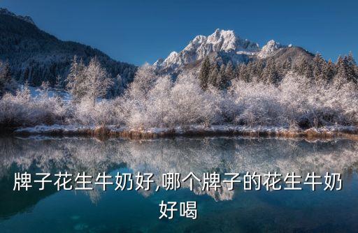 什么牌子花生牛奶好,哪个牌子的花生牛奶好喝?