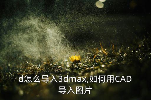 d怎么导入3dmax,如何用CAD导入图片